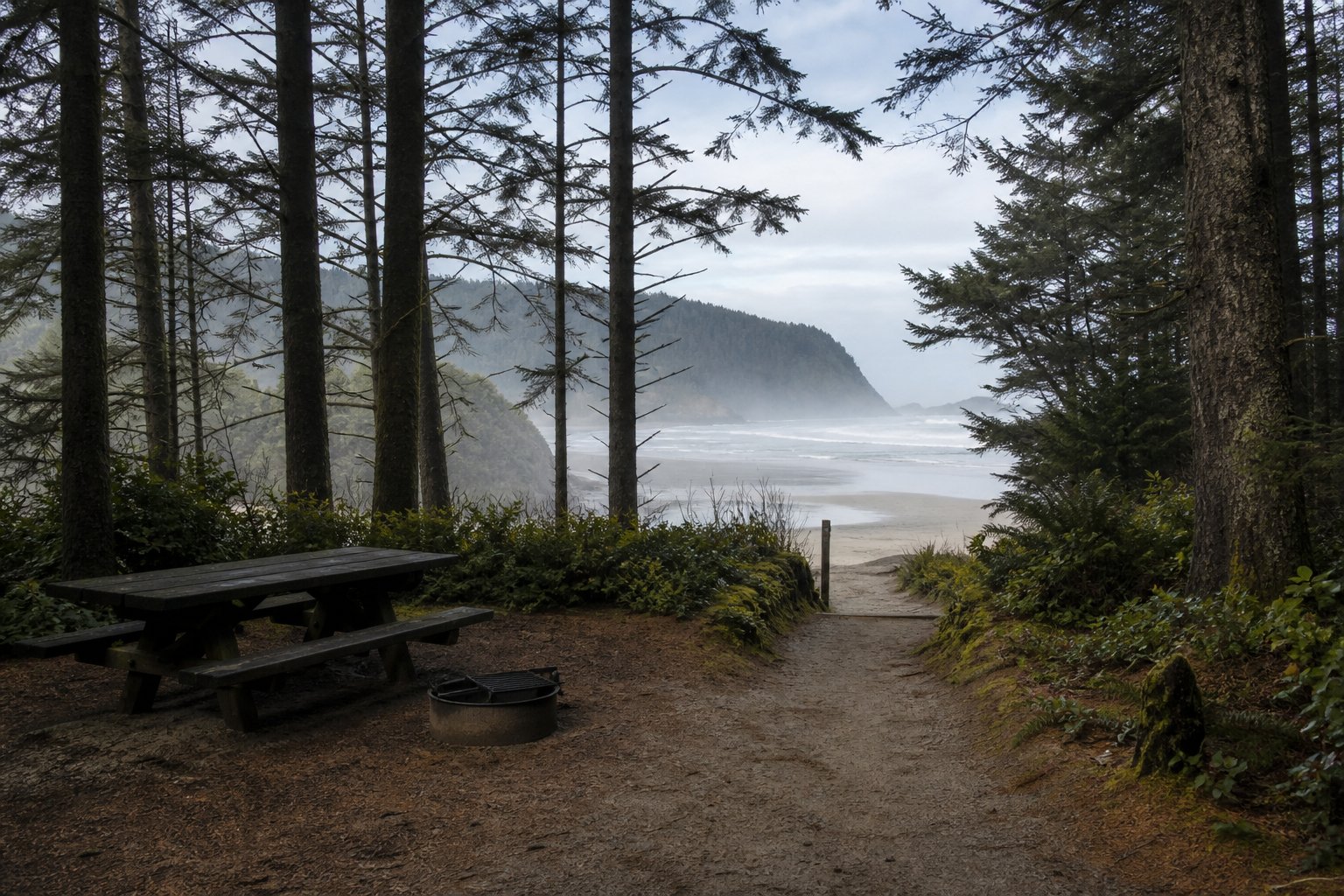 Oregon coast state park campground with spruce trees framing a foggy beach and dune trail access