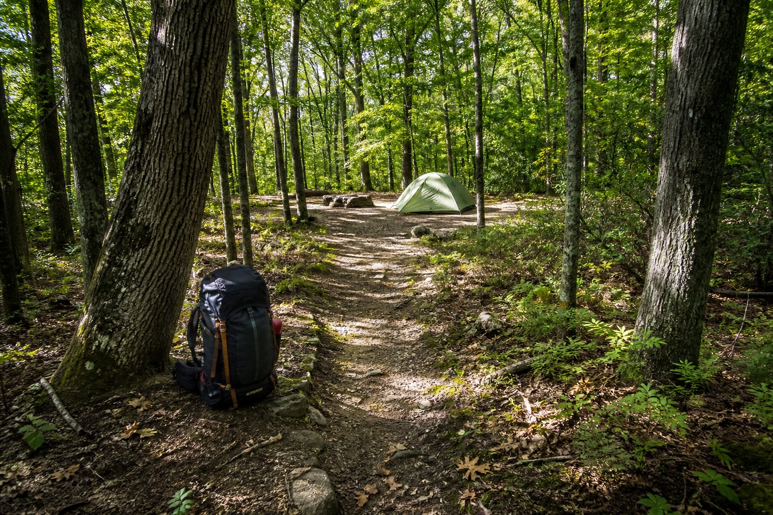 Walk-In and Hike-In Tent Sites: How Directors Book the Best Backcountry Loops