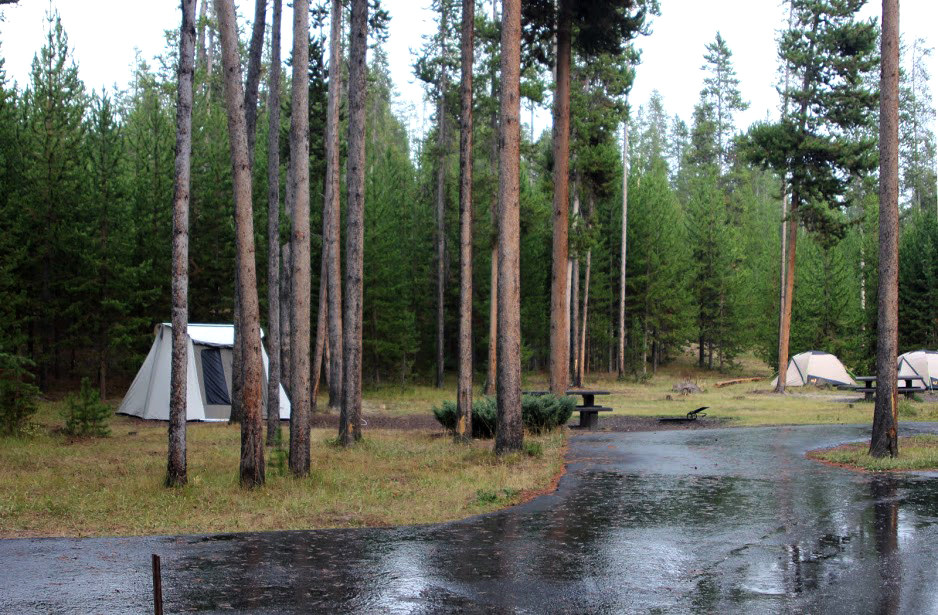 Tent sites, picnic tables, and a fire ring at Madison Campground