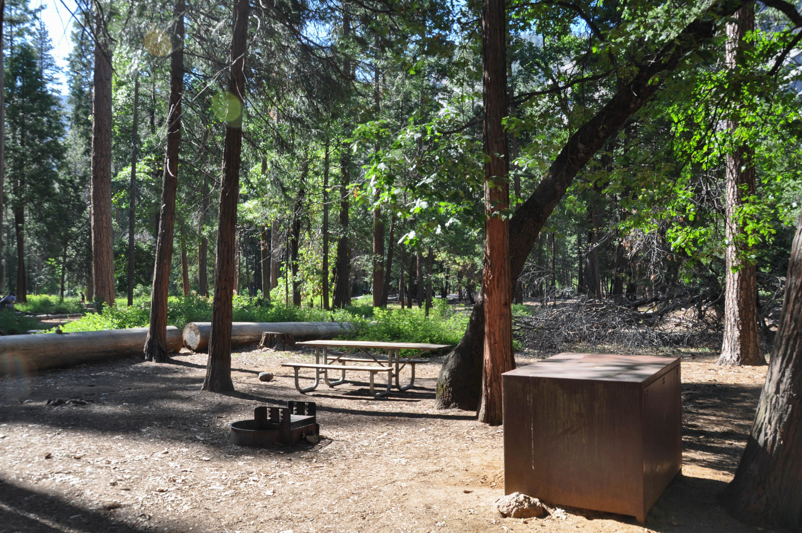 Bear locker, fire ring, and picnic table at an Upper Pines site in Yosemite Valley